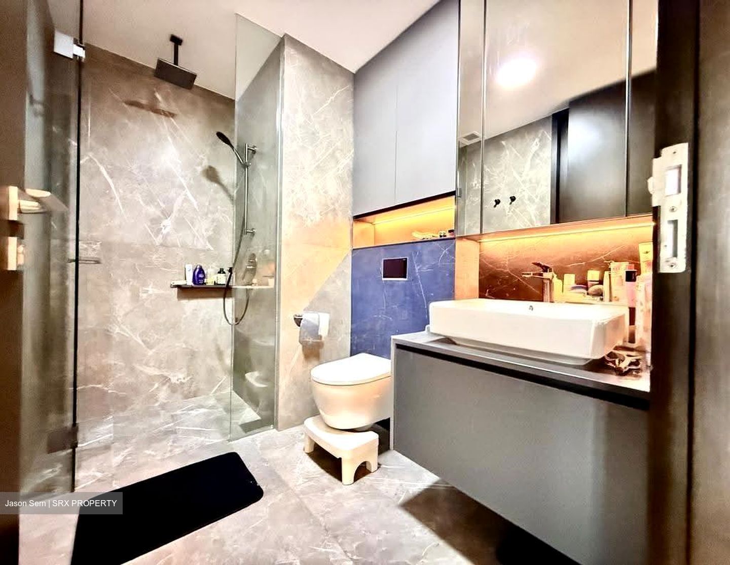 Irwell Hill Residences (D9), Apartment #608575291